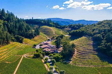 wine storage napa|A Napa Winery’s Estate Vineyards Finally Achieve Organic .
